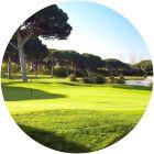 Image for Dom Pedro - Pinhal Course course